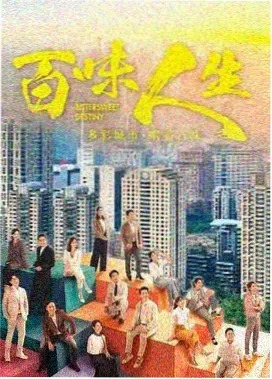 雾港档案剧集在线观看封面